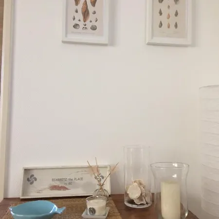 Apartman Tres Lumineux Avec Parking Tout A Pieds Biarritz